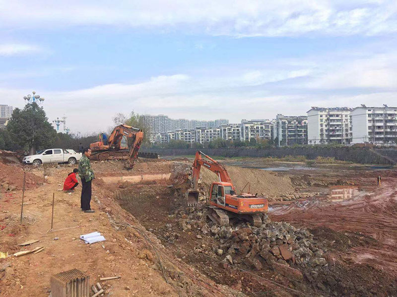 八一大橋建設(shè)項目